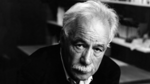 W.G. Sebald – Po neverovatno tankom ledu: Razgovori 1971 – 2001 Prikazi