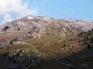 Zanimljivosti