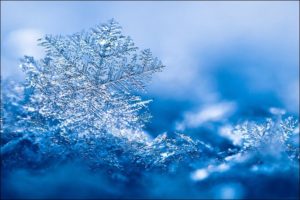 Nedeljna meteoastrološka prognoza (11.12 – 17. 12. 2015) Horoskop