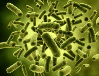 6 pitanja i 6 odgovora u vezi s probioticima