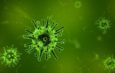 Korona-virus-upoznavanje-simptomi-zaraze-mere-prevencije-terapija-i-dosadaĹˇnja-iskustva