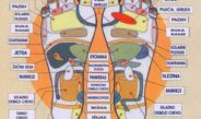 Refleksologija – mapa organa na tabanima