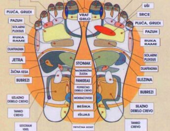 Refleksologija – mapa organa na tabanima